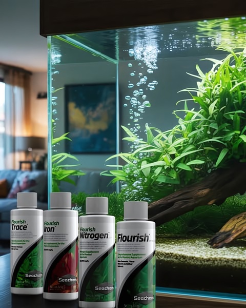 A clean, studio-style product hero shot featuring a lineup of aquarium fertilizers against a lush, thriving planted tank background.